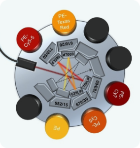 Flow Cytometry 2