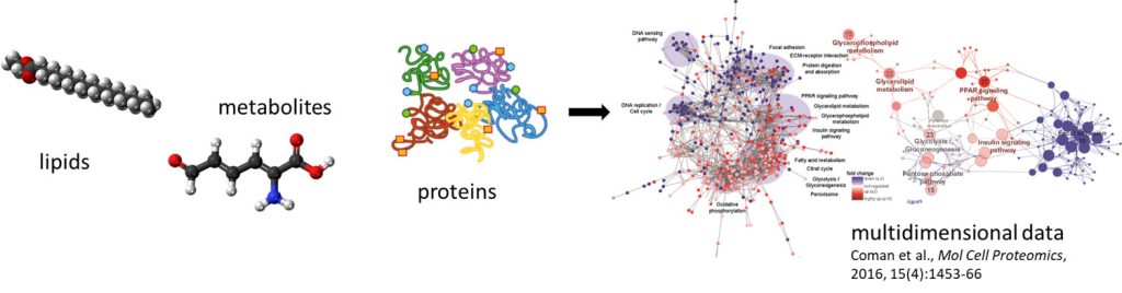 Clinical Proteomics Centre 6