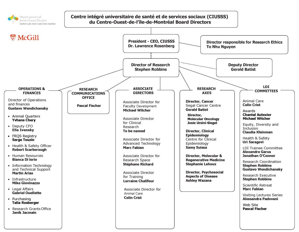 Organigram 1