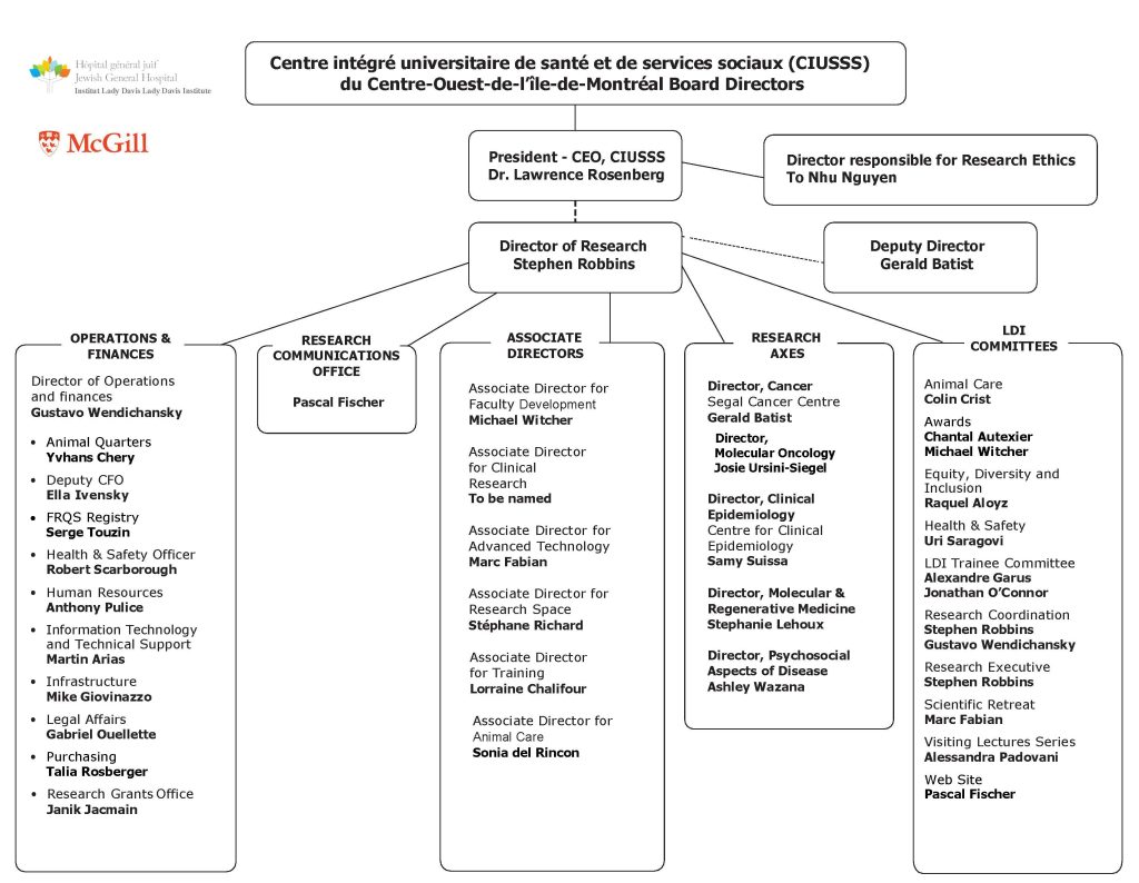 Organigram 1